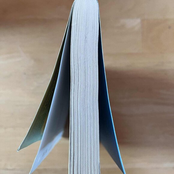 Little Fires Everywhere by Celeste Ng - Picture 3 of 3